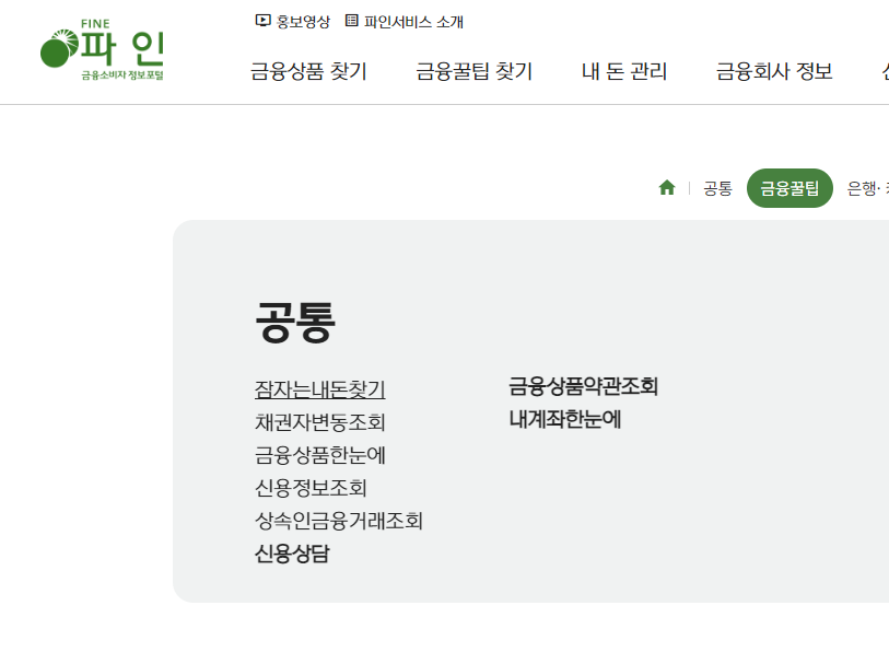 파인 - 잠자는 내돈 찾기