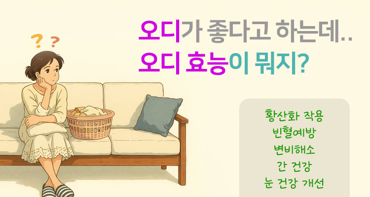 오디 효능 총정리