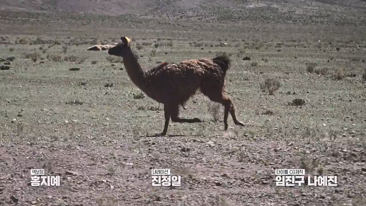 걸어서 세계속으로.E801.230716p-NEXT.mp4_20230724_211716.409.jpg