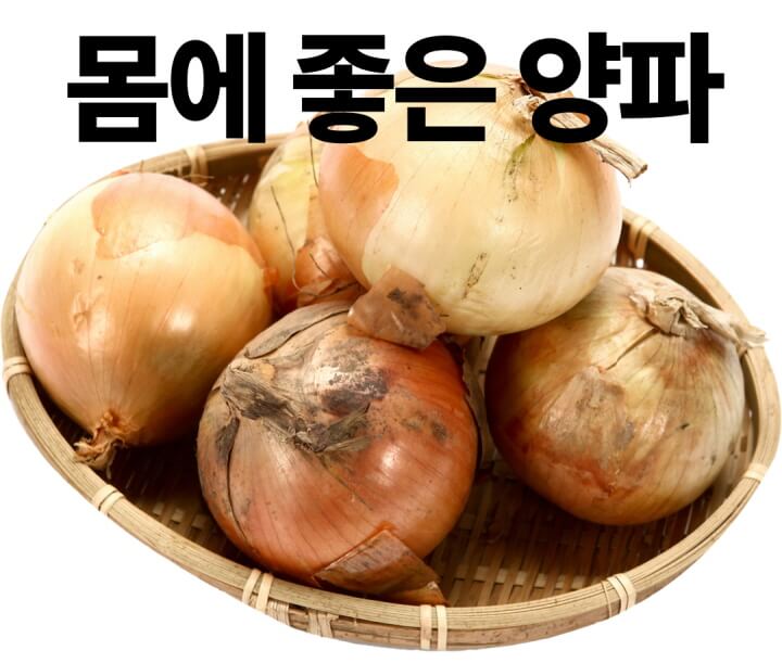  양파의 효능 및 양파 보관하는 방법