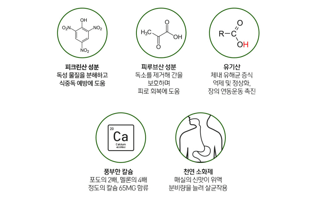 내 몸의 독을 없애는 해독 성분