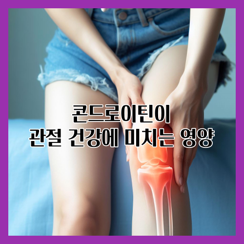 콘드로이틴은 주로 연골에서 발견되는 천연 물질로&#44; 관절의 쿠션 역할을 하며 관절 건강을 유지하는 데 중요한 역할을 합니다