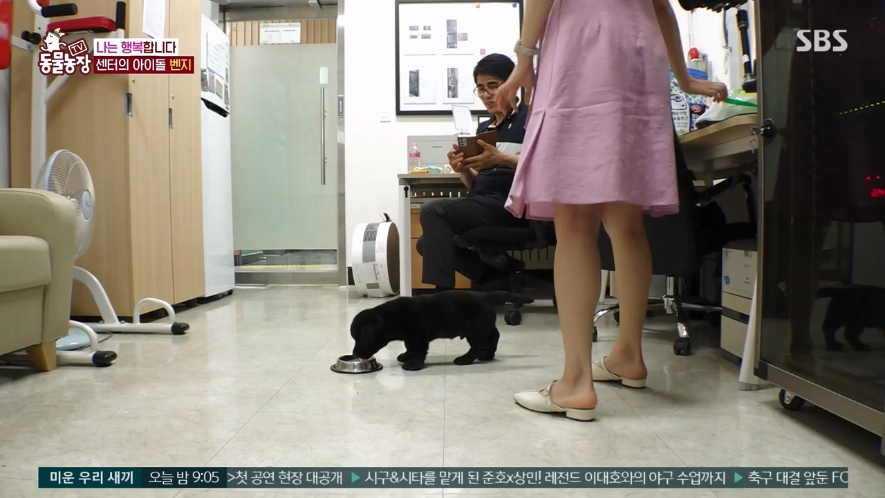 TV 동물농장.E1131.230731p-NEXT.mp4_20230730_190951.951.jpg