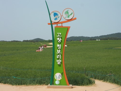 나성반점 이미지