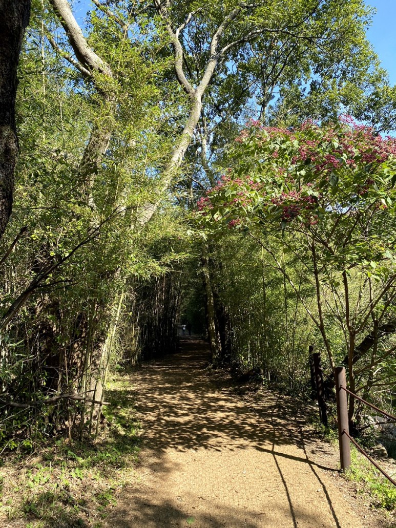 직소 [부안/변산면] : 변산반도국립공원 7