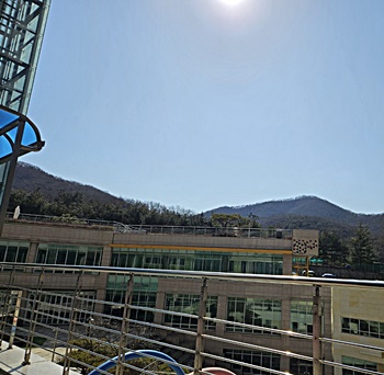 파생-상품-거래-세금-신고-방법-절세-전략