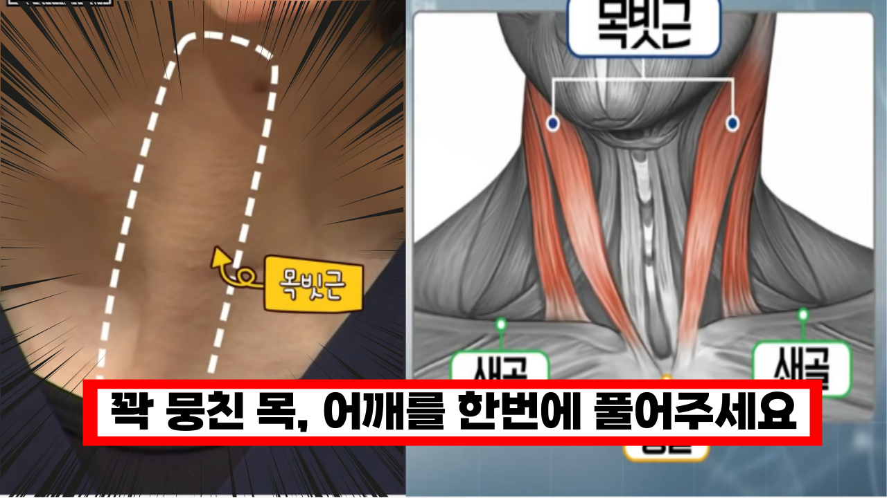  '엄청 시원하고 좋습니다.' 하루 3분 투자로, 스트레스, 뭉친 목 어깨를 바로 풀어보세요  하루 피로를 풀어주는 셀프 마사지