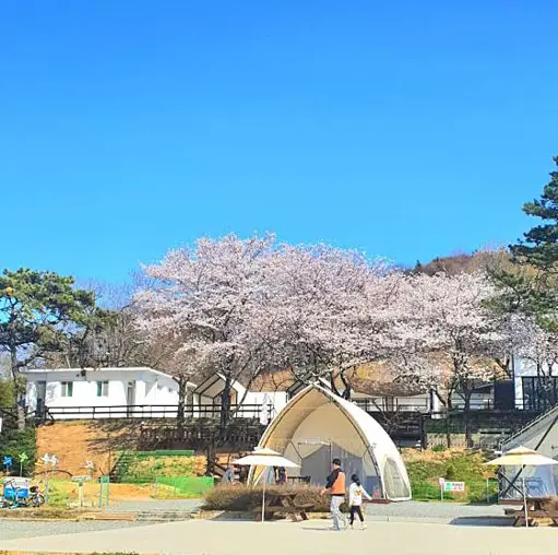 글램핑 글램핑