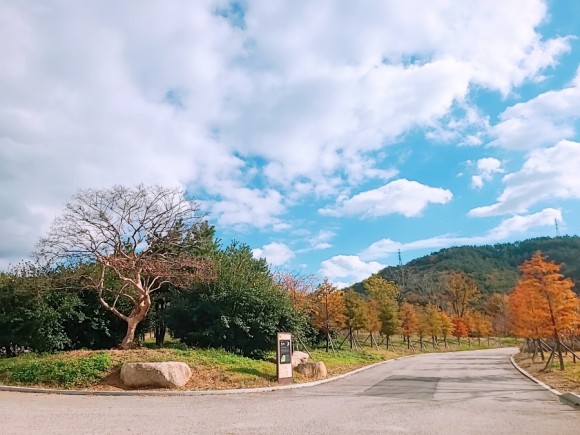 #부산 아이와가 볼만한 바다 운대수목원 37