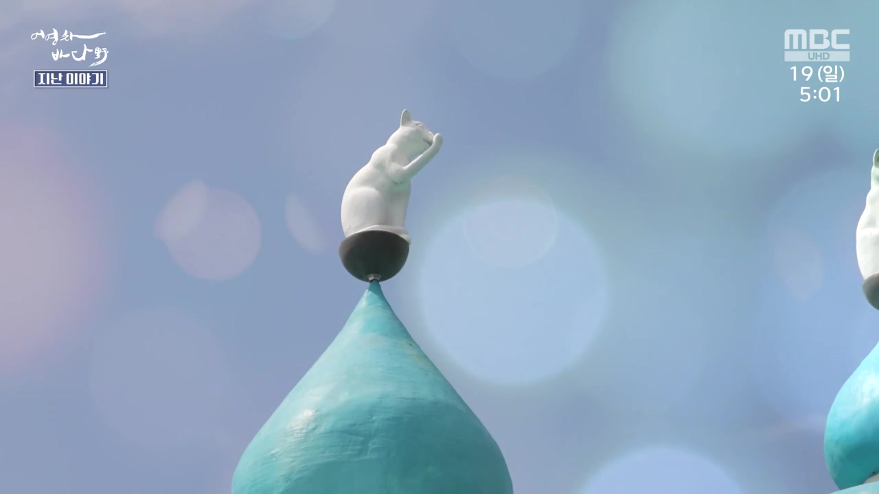 MBC 네트워크 특선 푸른백세 어영차 바다야.E1648.231120p-NEXT.mp4_20231122_200458.345.jpg