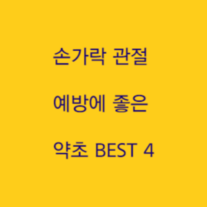  손가락 관절 예방에 좋은 약초 BEST 4