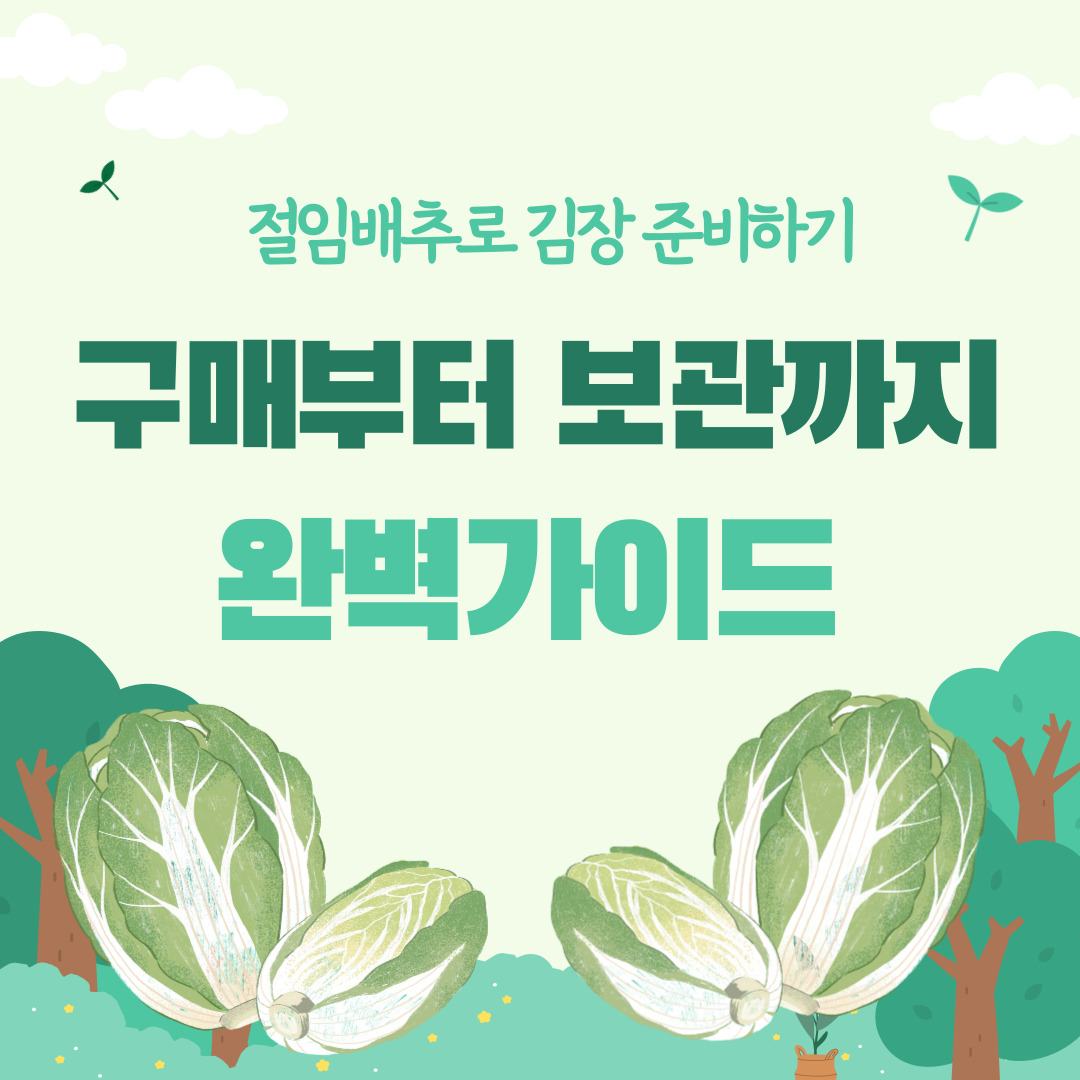 절임배추로 김장 준비하기: 구매부터 보관까지 완벽 가이드