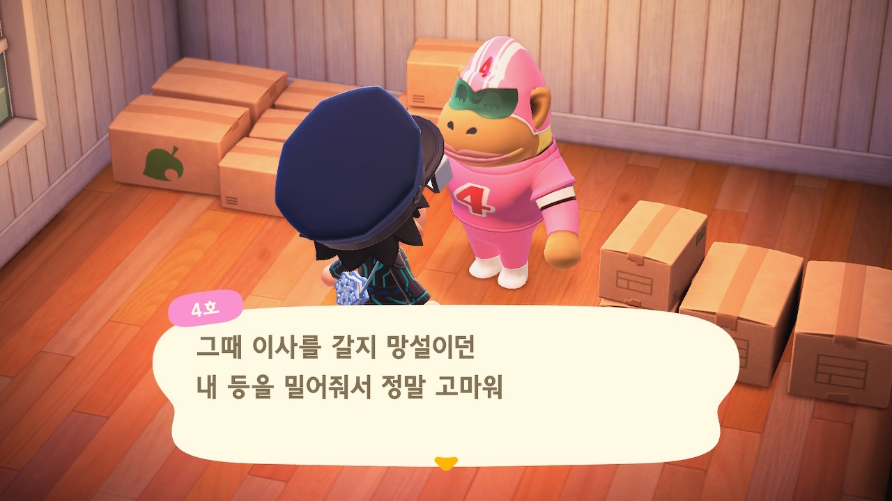 모동숲 주민 물갈이중 모동숲 주민 물갈이중