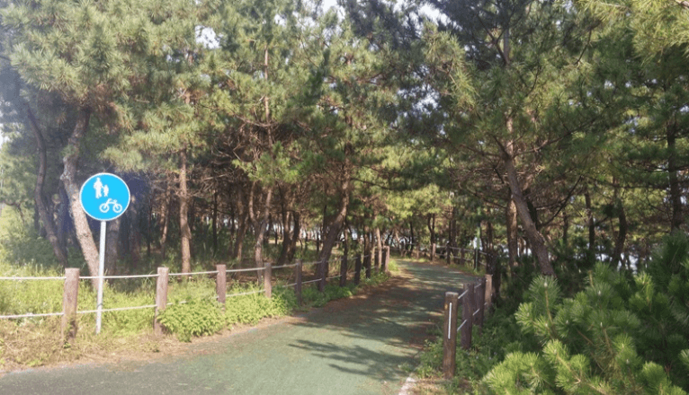 해파랑길 39코스 바우길 05구간 이미지
