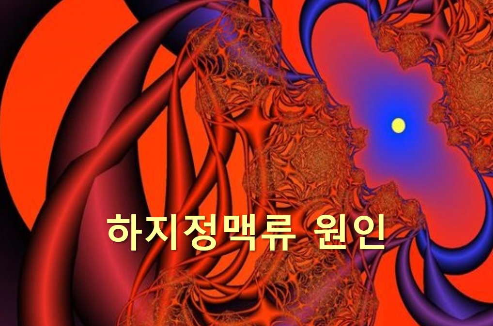  하지정맥류 원인과 하지정맥류에 좋은 음식