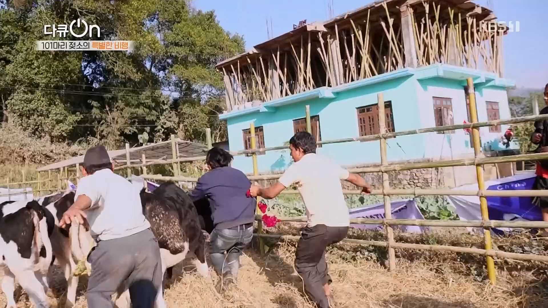 다큐 On.E184.230203p.H264-F1RST.mp4_20230211_175654.459.jpg