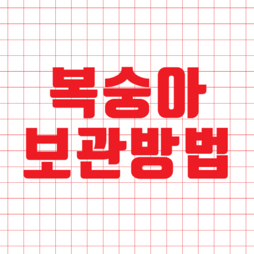  복숭아 보관방법 올바른 방법