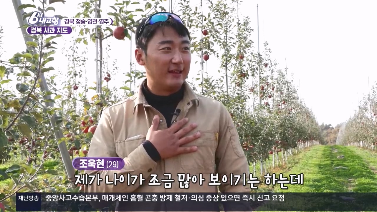 6시 내고향.E7907.231108p.H264-F1RST.mp4_20231108_204313.540.jpg