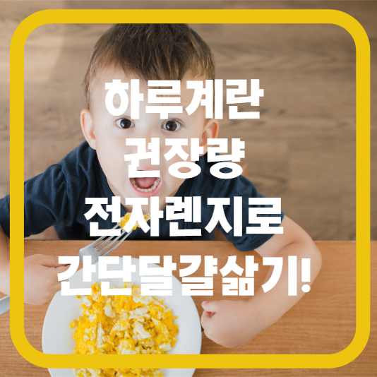 달걀삶기 삶은 계란 효능 계란 하루 권장량