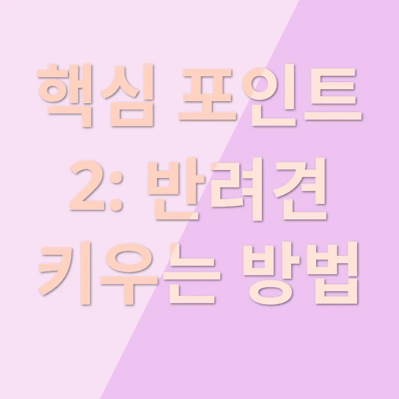 애견 입양_2