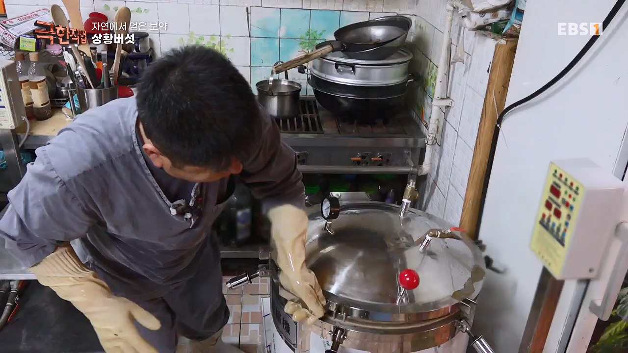 TV - 전 국민의 평생학교 EBS자연에서 얻은 보약, 상황버섯과 산나물, 쌍화차.mp4_20240615_172236.029.jpg