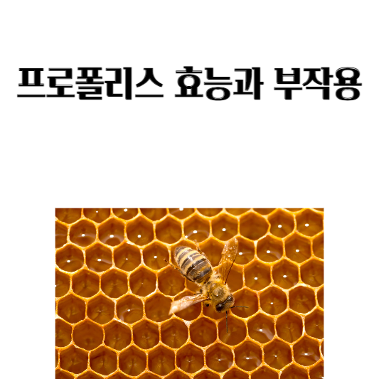 프로폴리스 효능과 부작용