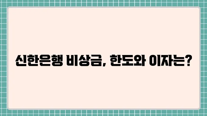 신한은행 비상금대출 및 한도 이자