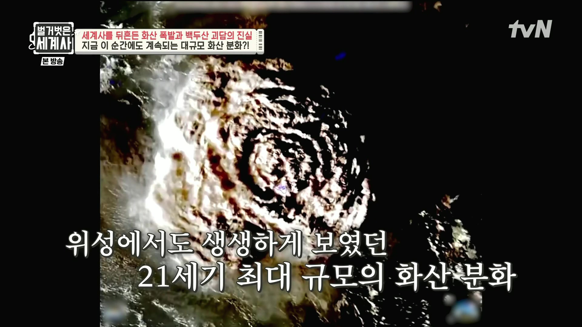 벌거벗은 세계사.E109.230725p.H264-F1RST.mp4_20240214_204530.733.jpg