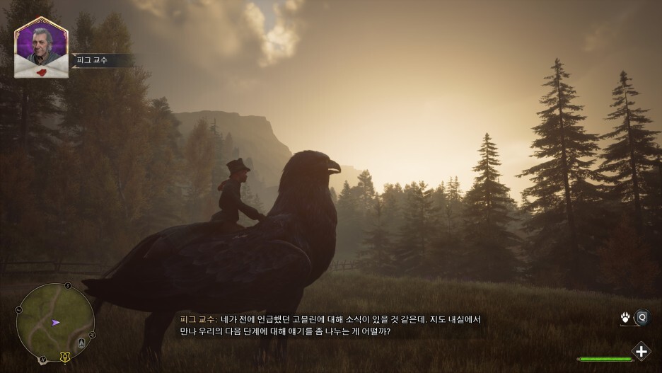 (Hogwarts Legacy) 사소한 게임 스크린샷 모음 77