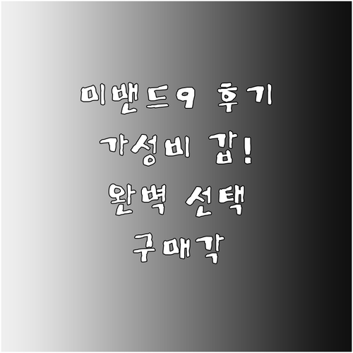 가성비 끝판왕? 스마트밴드 선택 고민