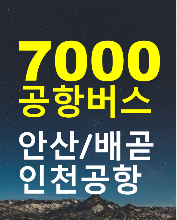  안산터미널 / 배곧 신도시에서 인천공항버스 7000, N7000 (노선도, 운행시간표, 요금, 정류장) 예약 쉽게 하기