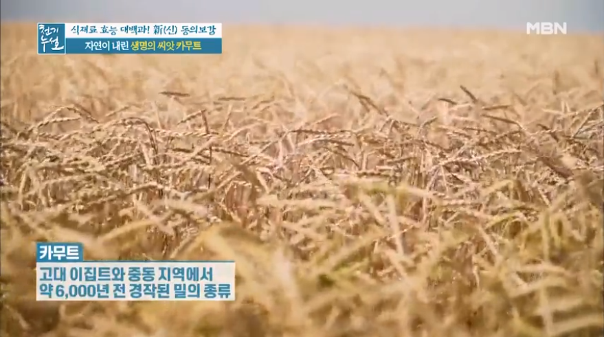  카무트 효능 및 부작용