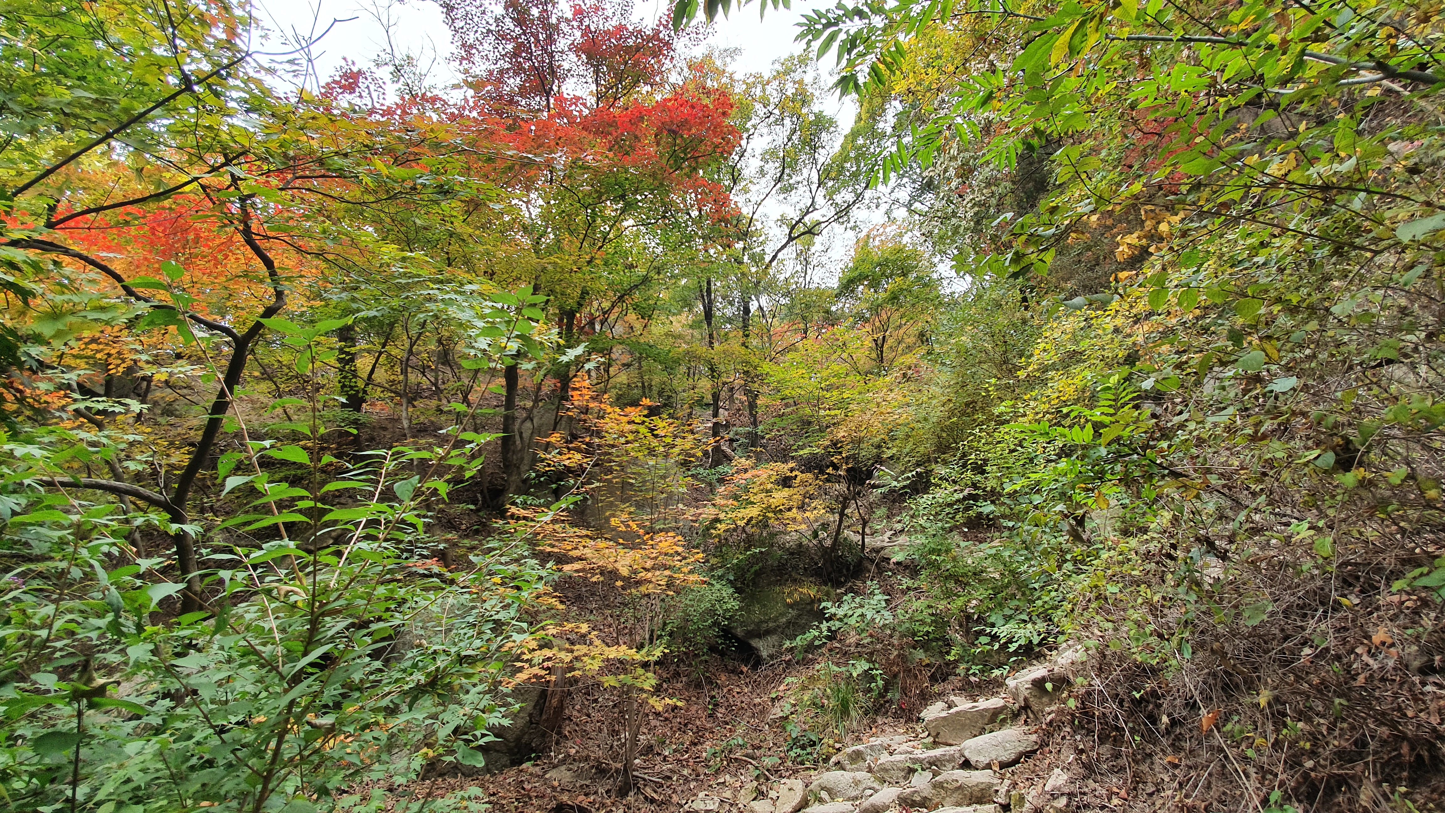 북한산 (2020-10-21) 24