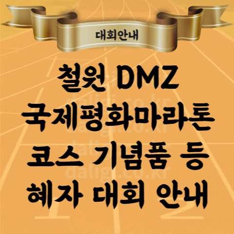 철원 DMZ 국제평화마라톤대회 코스 기념품 참가비 등 1분 요약