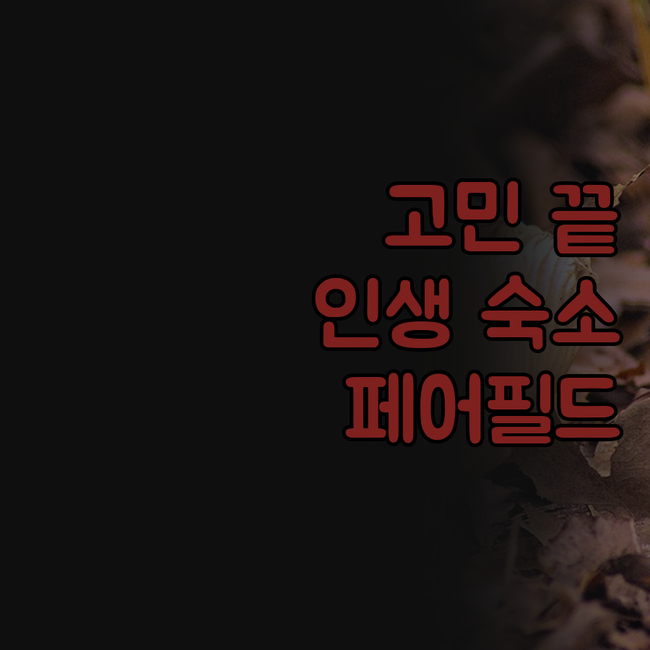 페어필드 바이 메리어트 서울 숙박 고