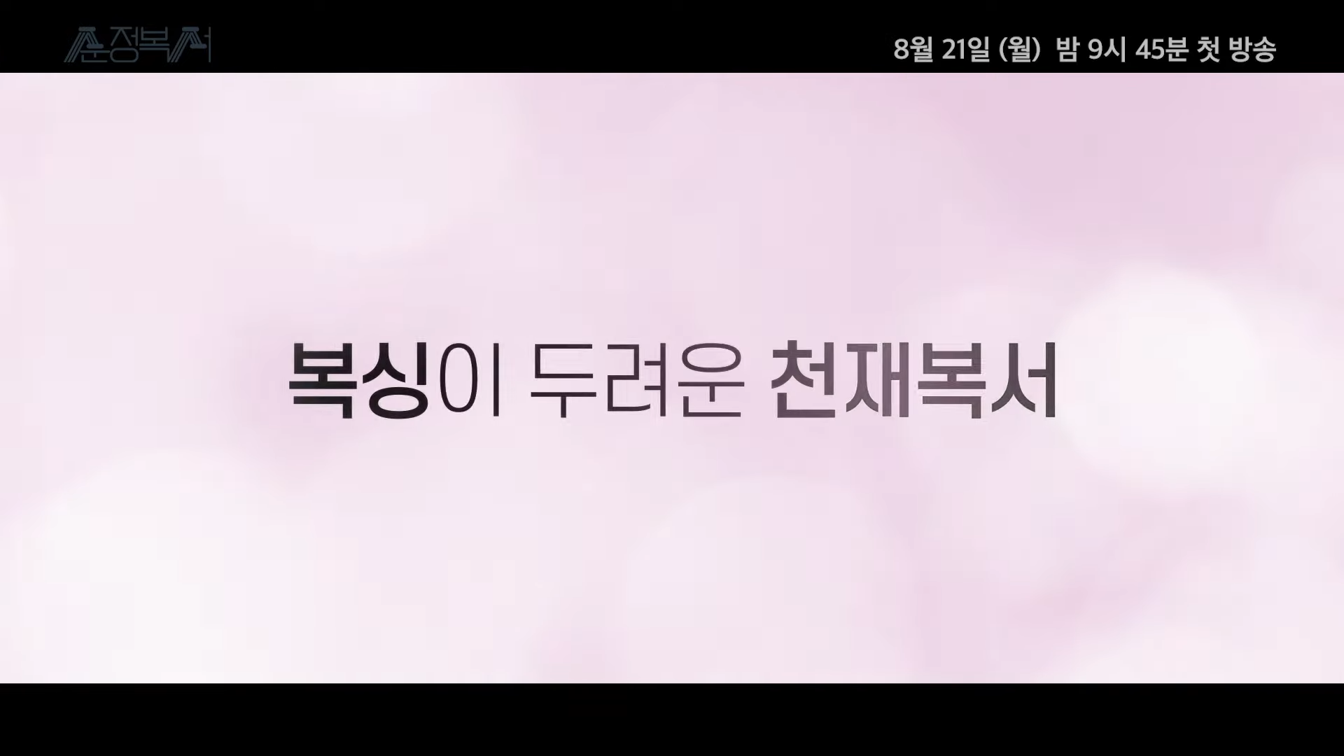 월화드라마 수목드라마 일일드라마