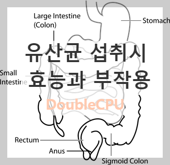 유산균의-효능과-부작용-썸네일