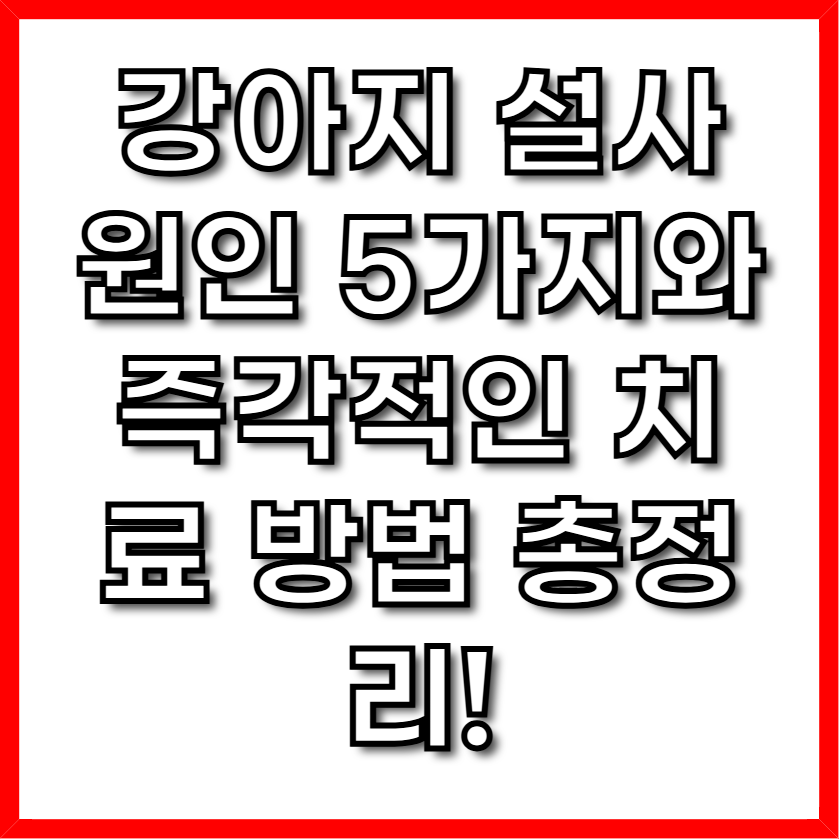 강아지 설사 원인 5가지와 즉각적인 치료 방법 총정리!