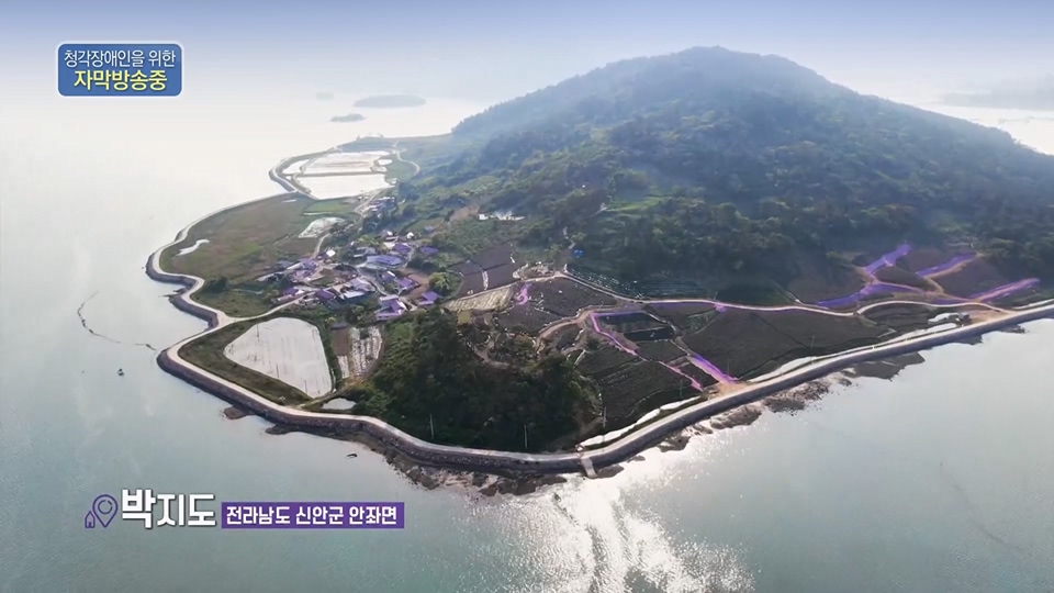 다큐 On.E201.230610p.H264-F1RST.mp4_20230611_165927.685.jpg