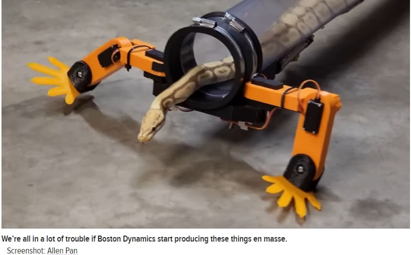  뱀을 사랑한 유튜버, 로봇 다리를 만들어 주다  VIDEO: YouTuber decides to fix snakes, constructs robotic legs for them to wear