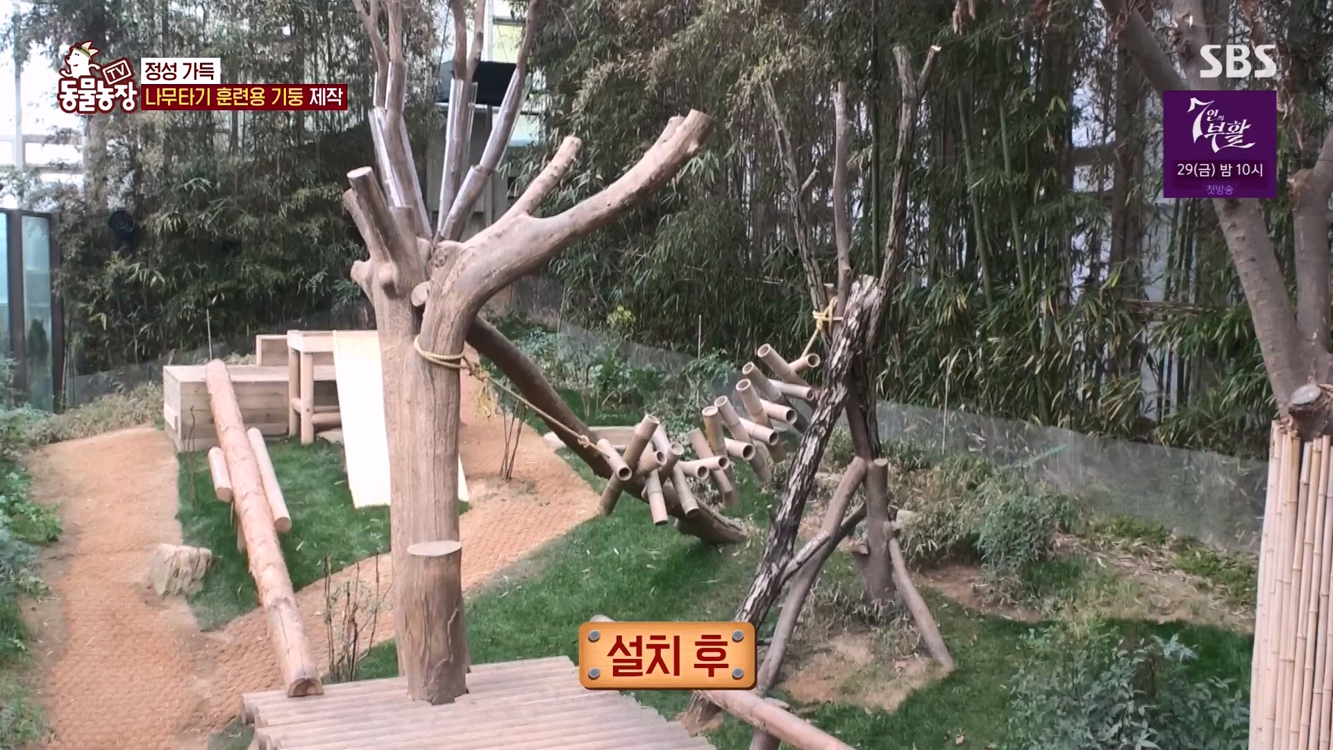 TV 동물농장.E1163.240317p-NEXT.mp4_20240317_171058.989.jpg