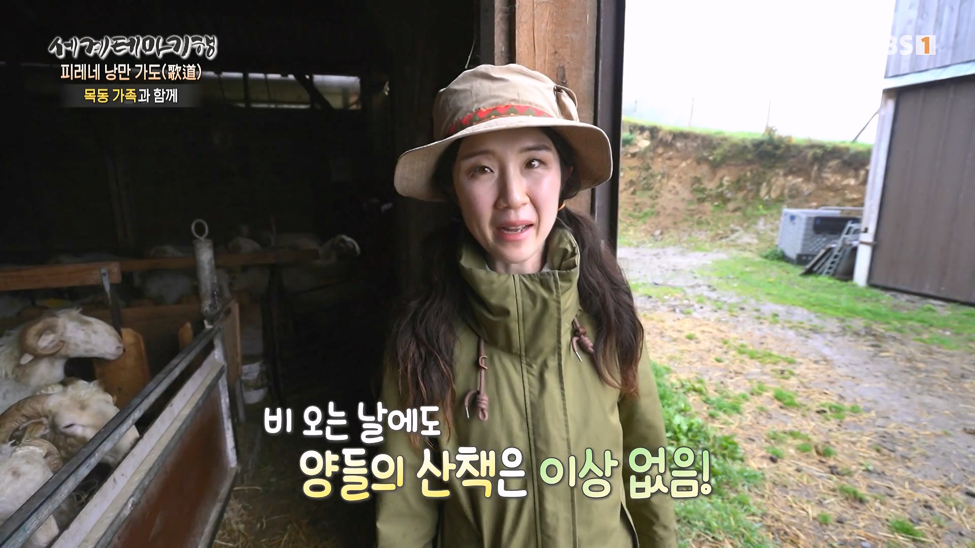 세계테마기행 231225 피레네 낭만 가도(歌道) -요정의 길을 따라, 비뉴말 트레킹0p.mp4_20240628_205007.659.jpg