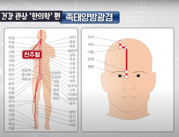 머리야 이미지