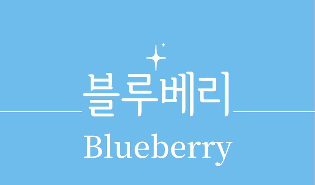 &#39;블루베리(Blueberry)&#39;