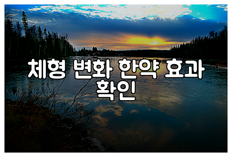 체형 변화 한약 효과 확인