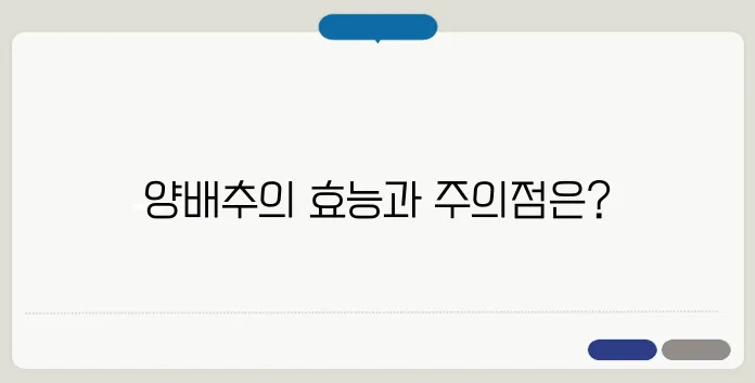 양배추의 놀라운 효능 10가지와 함께 알아야 할 부작용도 있습니다.