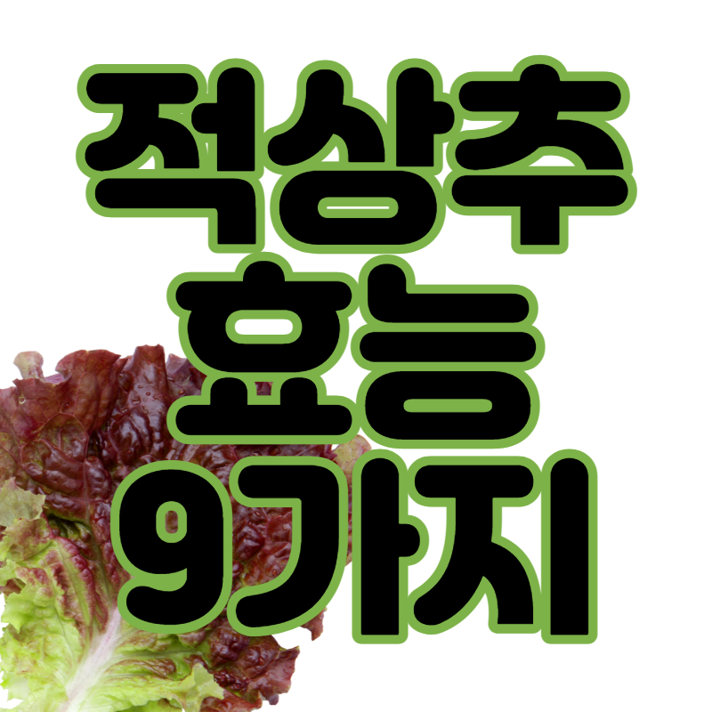 적상추 효능