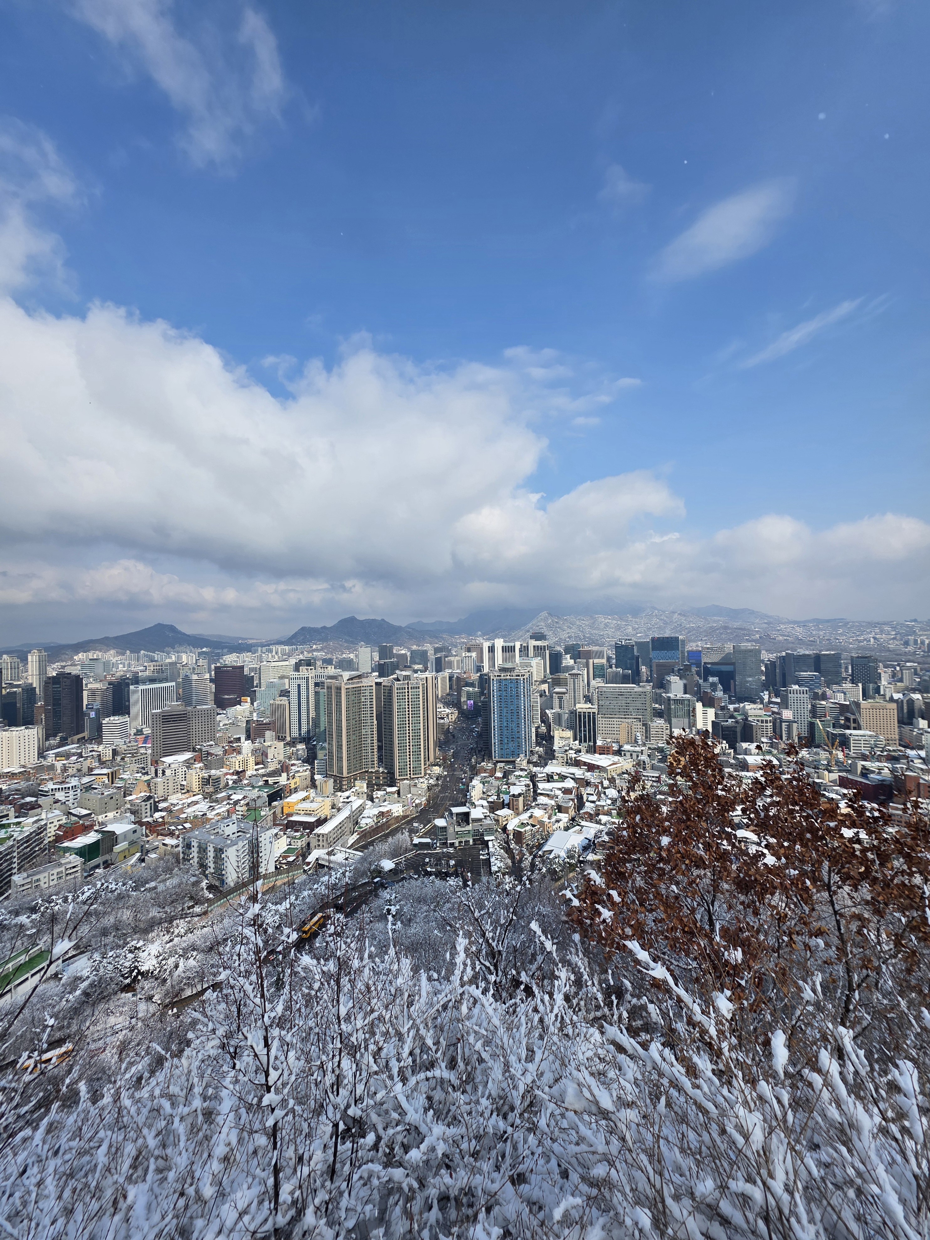 남산에 이미지