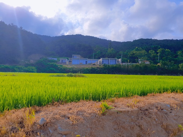  영덕 독채 펜션 솔직한 후기 남겨드립니다. (오르또 바다마을 펜션)