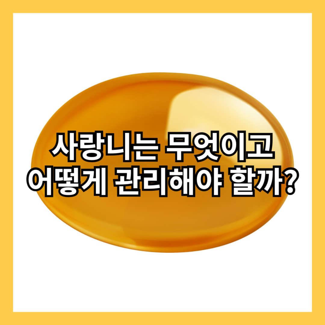 사랑니-주요-증상-문제-치료-관리-방법-발치-회복-질문-썸네일